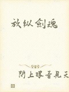 放纵剑魂