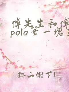 傅先生和傅太太polo笔一块五花肉