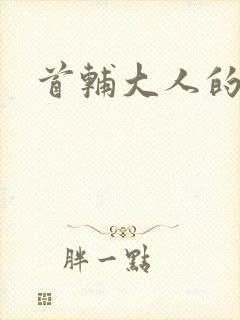 首辅大人的套路