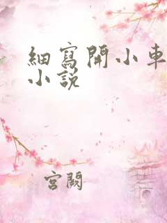 细写开小车车的小说