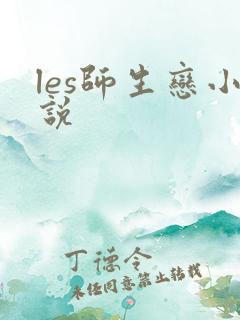 les师生恋小说
