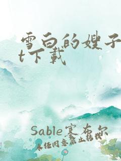 雪白的嫂子txt下载