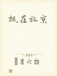 飘在北京