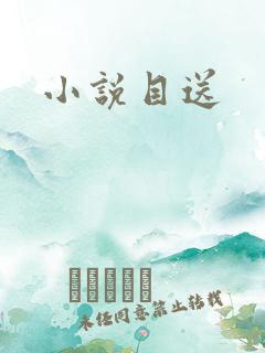 小说目送