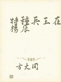 特种兵王在都市杨辰