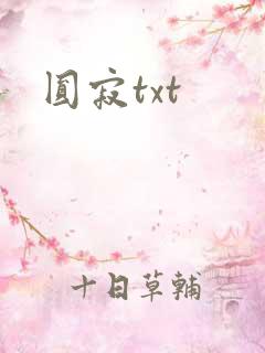 圆寂txt