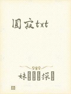 圆寂txt