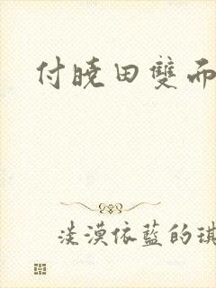 付晓田双面间谍