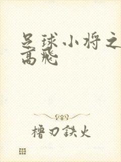 足球小将之展翅高飞