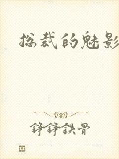 总裁的魅影情人