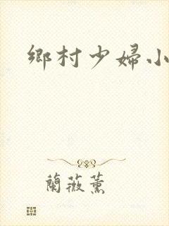 乡村少妇小说