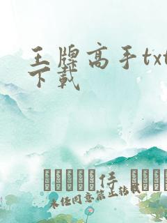 王牌高手txt下载
