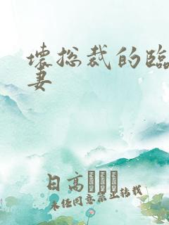 坏总裁的临时娇妻