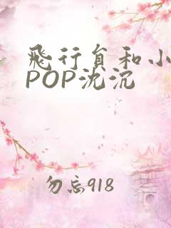 飞行员和小空乘POP沈沉