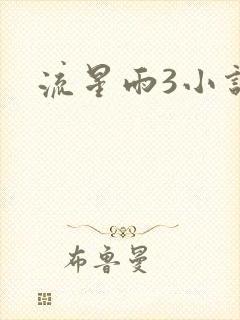 流星雨3小说