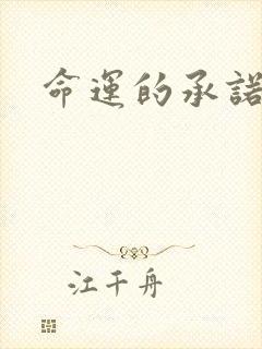 命运的承诺下载