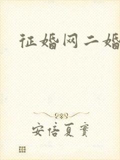 征婚网二婚