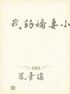 我的娇妻小说