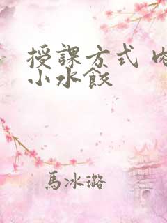 授课方式 肉馅小水饺