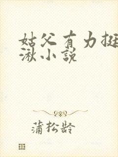 姑父有力挺送徐湫小说