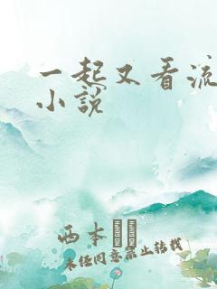 一起又看流星雨小说