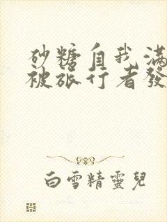 砂糖自我满足时被旅行者发现小说