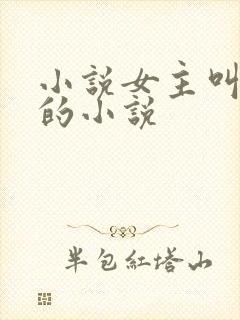 小说女主叫洛蓝的小说