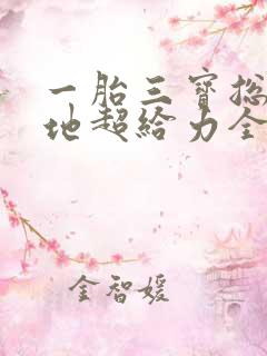 一胎三宝总裁爹地超给力全文免费阅读