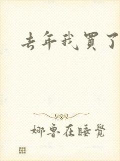 去年我买了个表