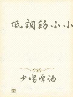 低调的小小宫女