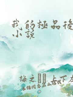 我的极品后宫 小说