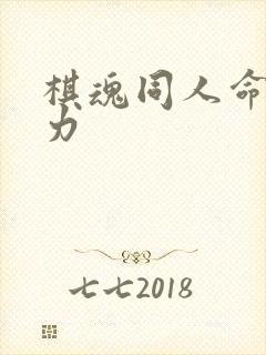 棋魂同人命运之力