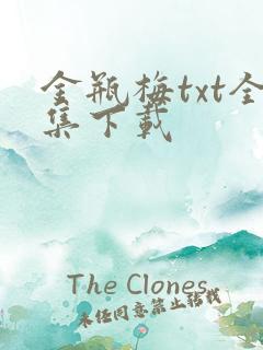 金瓶梅txt全集下载