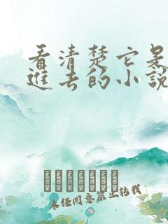 看清楚它是怎么进去的小说