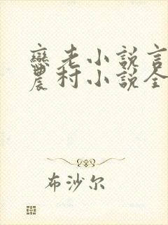 恋老小说言情网农村小说全文阅读