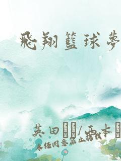 飞翔篮球梦下载