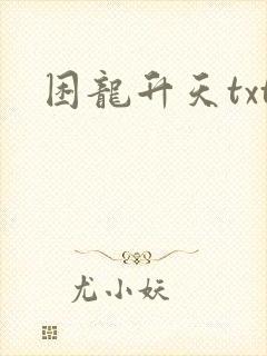 困龙升天txt