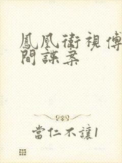 凤凰卫视傅晓田间谍案