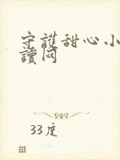 守护甜心小说阅读网