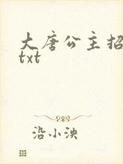 大唐公主招亲记txt