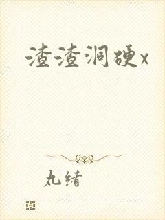渣渣洞硬x