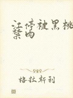 江停被黑桃K囚禁肉