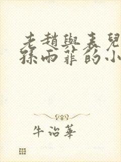 老赵与表儿媳妇孙雨菲的小说孙雨