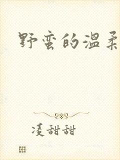 野蛮的温柔