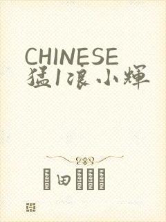 CHINESE猛1浪小辉