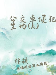 公交车侵犯小男生肉(h)