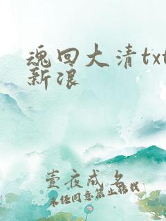 魂回大清txt新浪