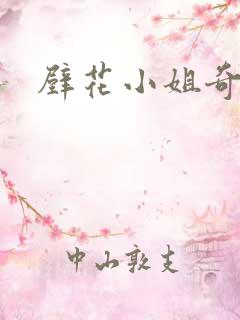 壁花小姐奇遇记