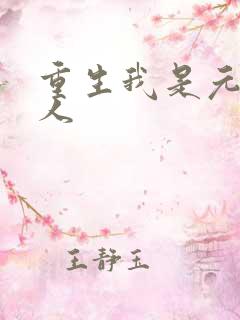 重生我是元帅夫人