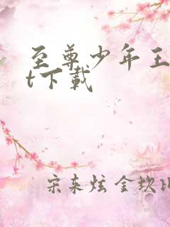 至尊少年王txt下载